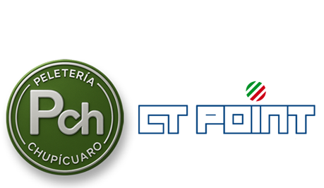 Peletería Chupicuaro